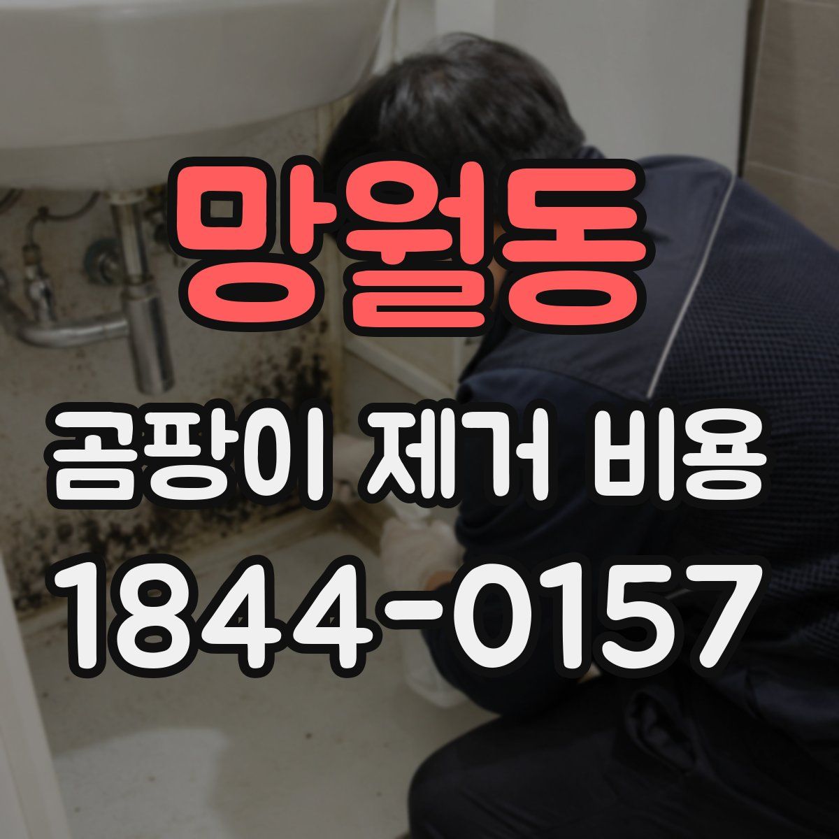 망월동 곰팡이 제거 비용