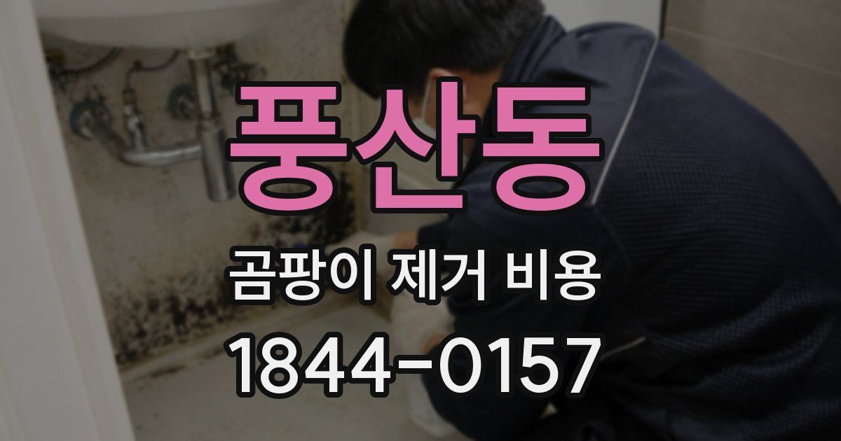 풍산동 곰팡이 제거 비용
