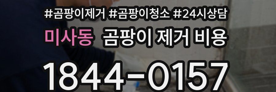미사동 곰팡이 제거 비용