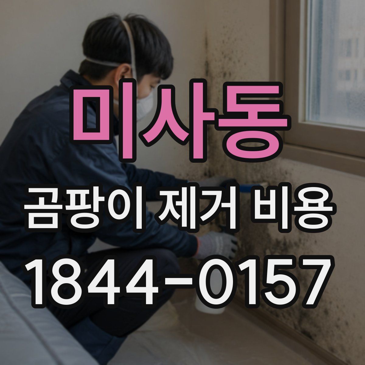 미사동 곰팡이 제거 비용