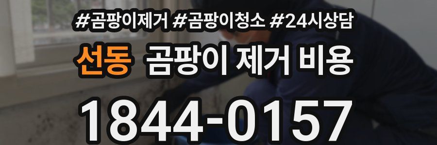 선동 곰팡이 제거 비용