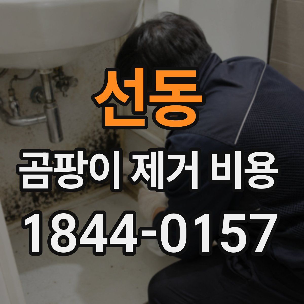 선동 곰팡이 제거 비용