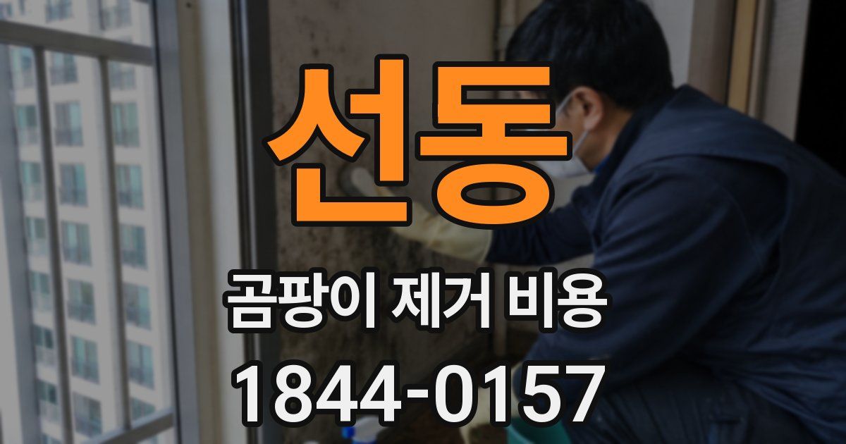 선동 곰팡이 제거 비용