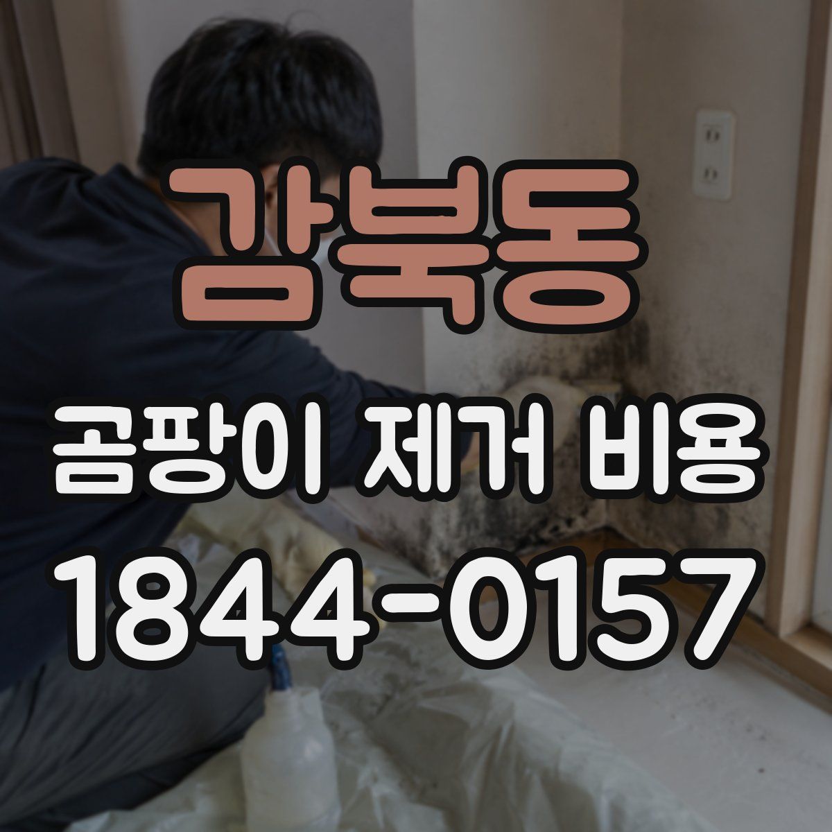 감북동 곰팡이 제거 비용