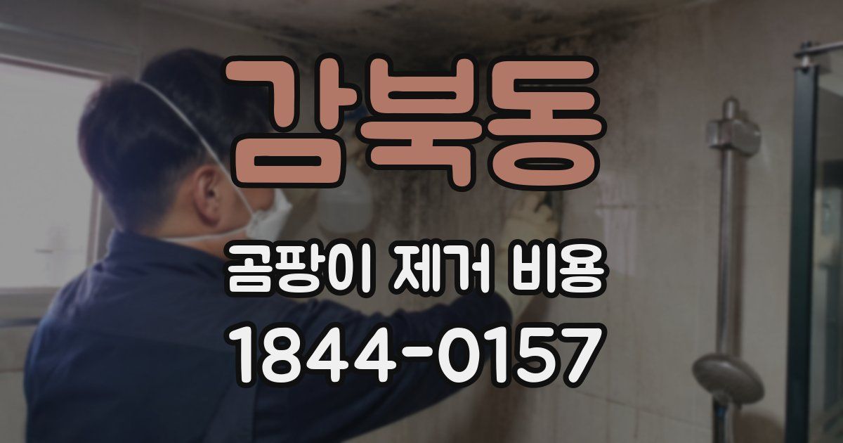 감북동 곰팡이 제거 비용