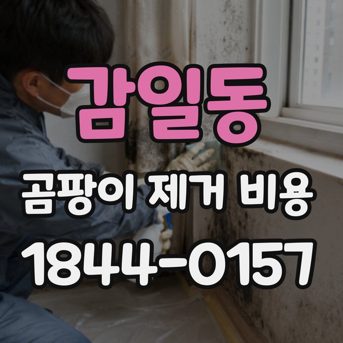 감일동 곰팡이 제거 비용 배관 주변 처리 범위를 정할 때 보는 기준