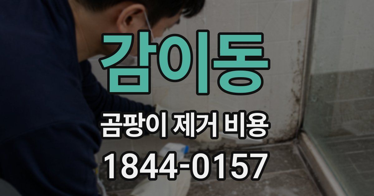 감이동 곰팡이 제거 비용
