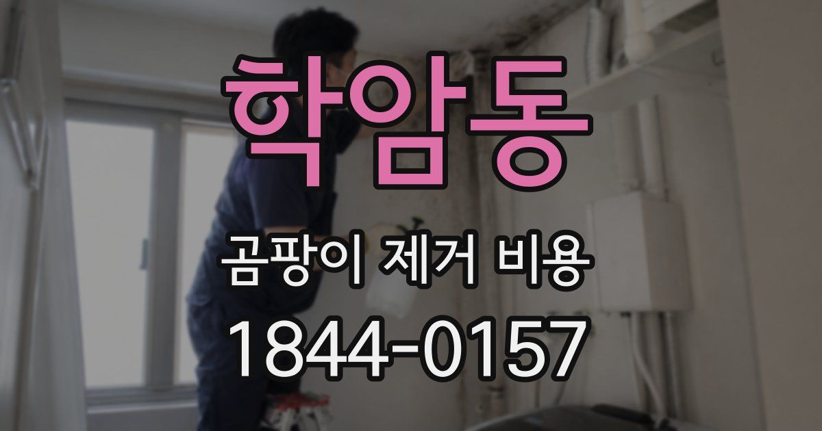 학암동 곰팡이 제거 비용