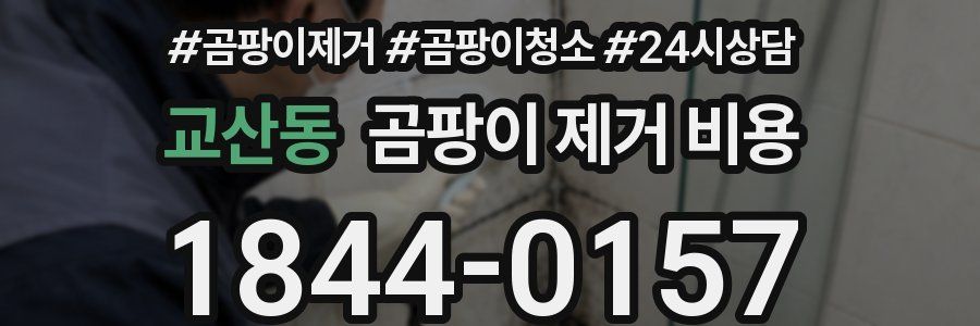 교산동 곰팡이 제거 비용