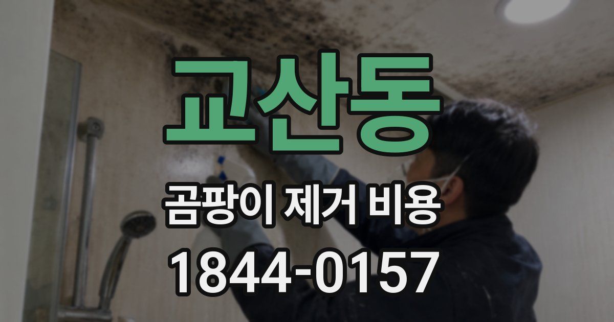 교산동 곰팡이 제거 비용