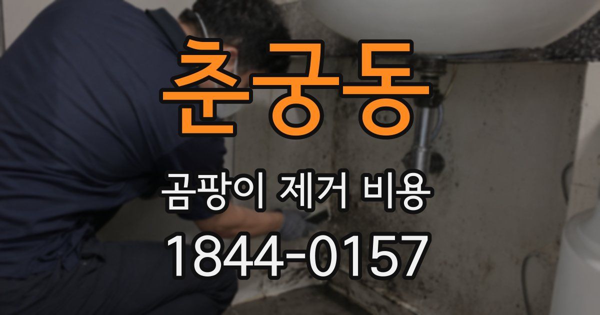 춘궁동 곰팡이 제거 비용