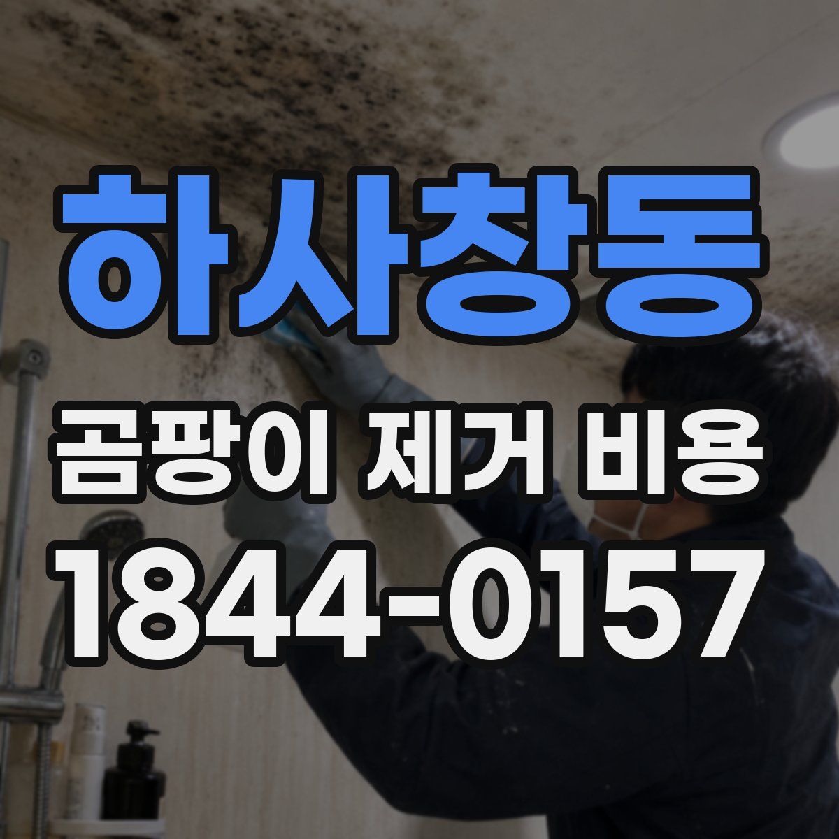 하사창동 곰팡이 제거 비용