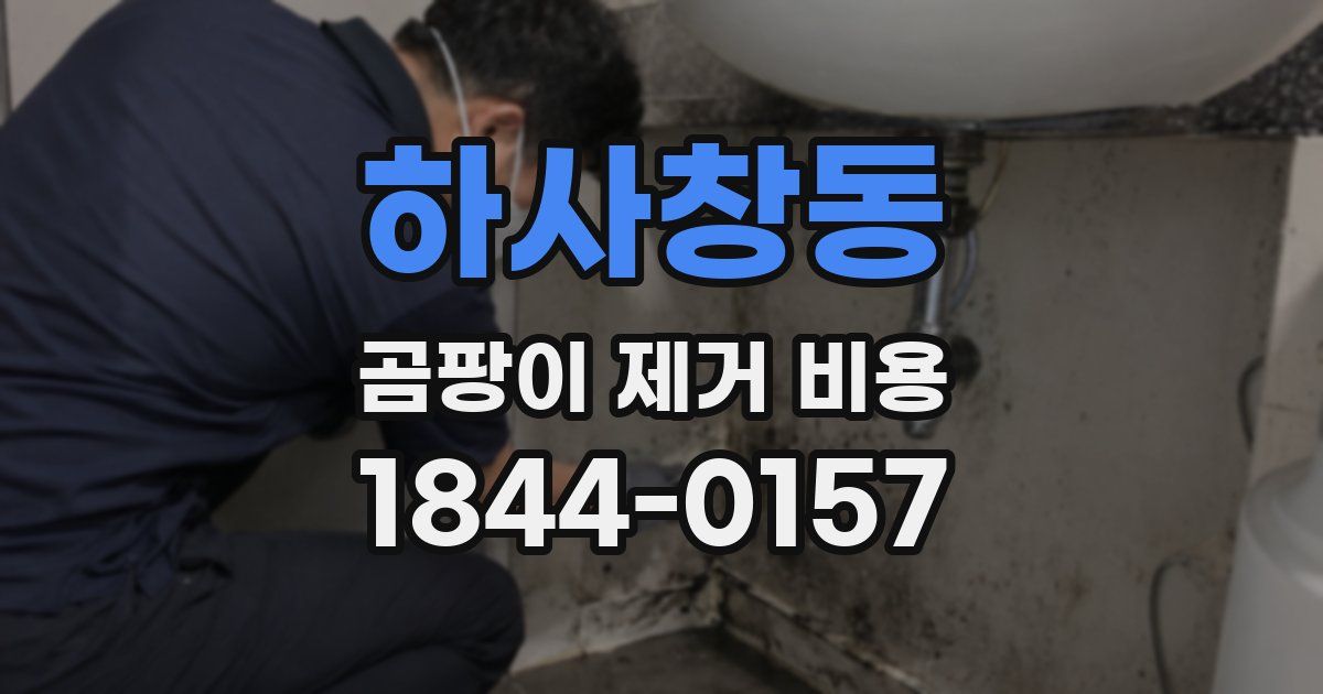 하사창동 곰팡이 제거 비용