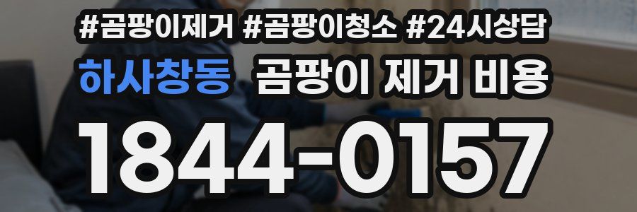 하사창동 곰팡이 제거 비용