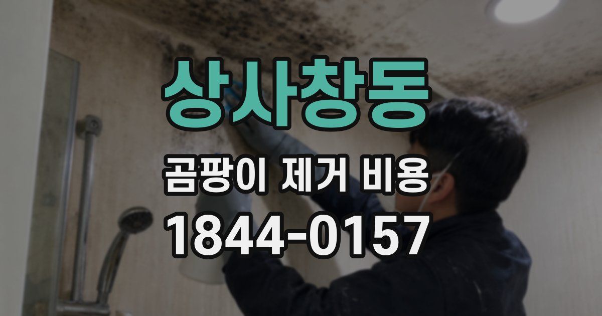 상사창동 곰팡이 제거 비용