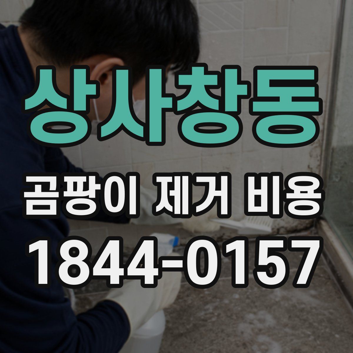 상사창동 곰팡이 제거 비용