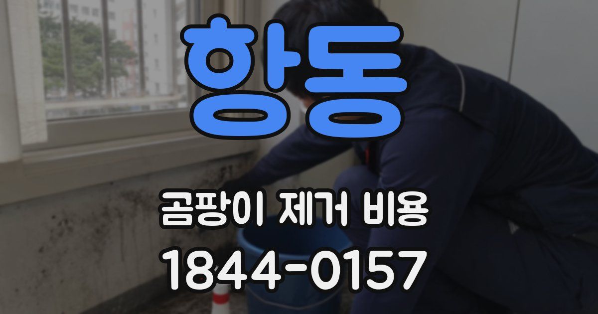 항동 곰팡이 제거 비용