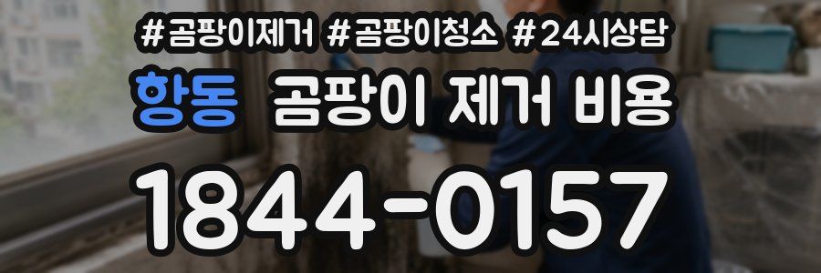 항동 곰팡이 제거 비용