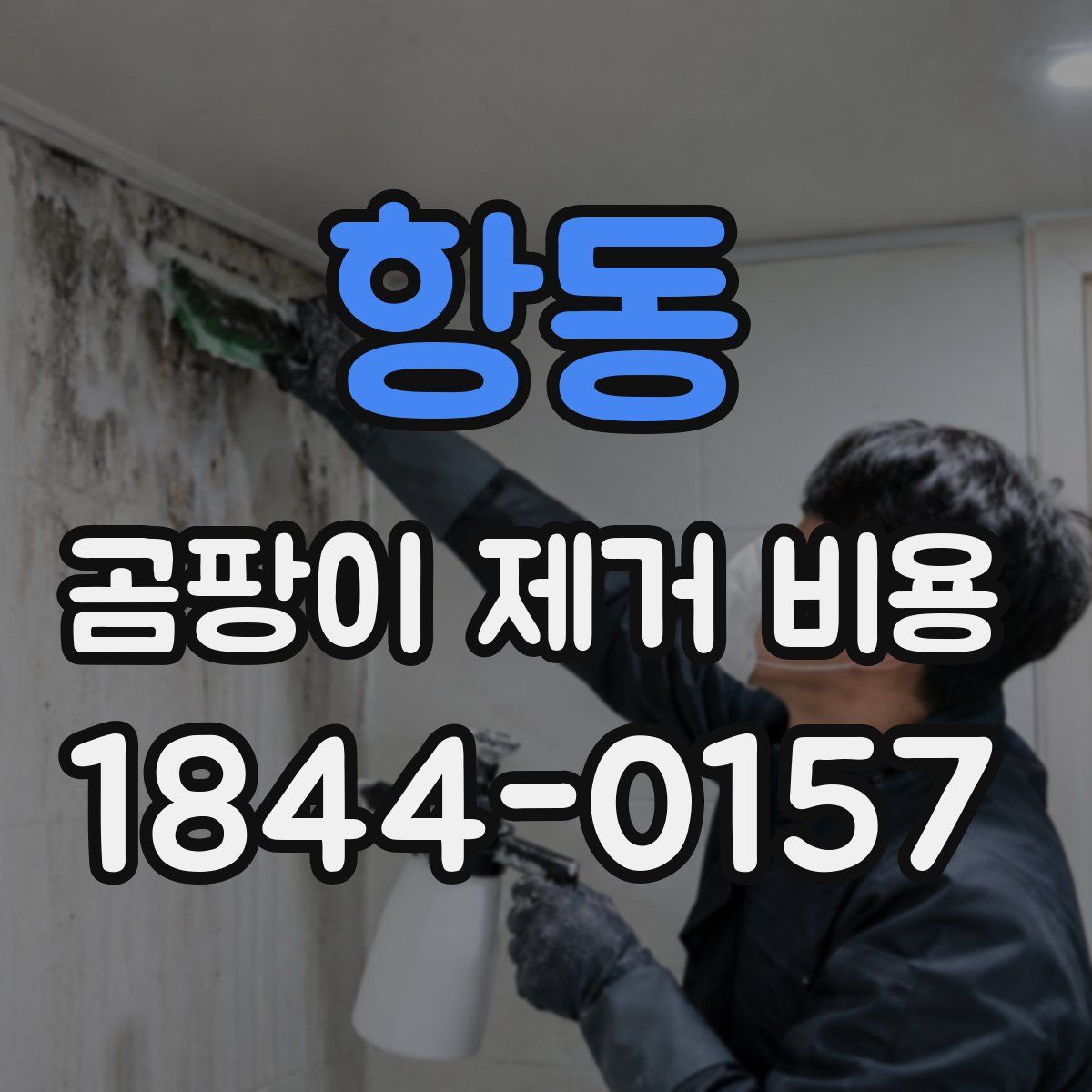 항동 곰팡이 제거 비용