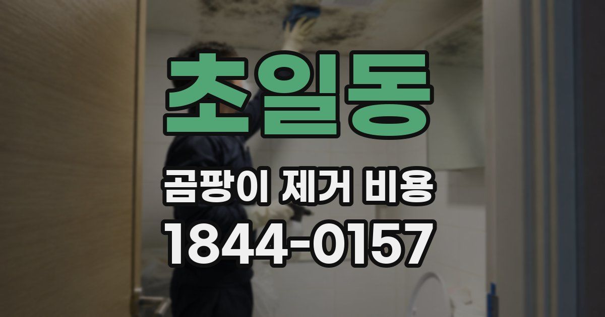 초일동 곰팡이 제거 비용