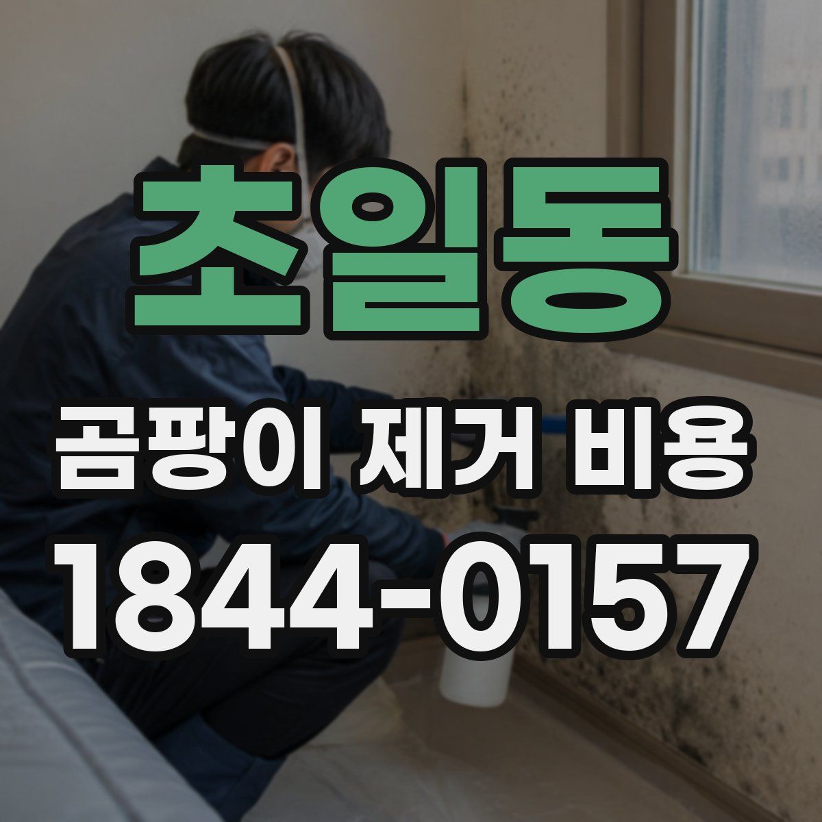 초일동 곰팡이 제거 비용