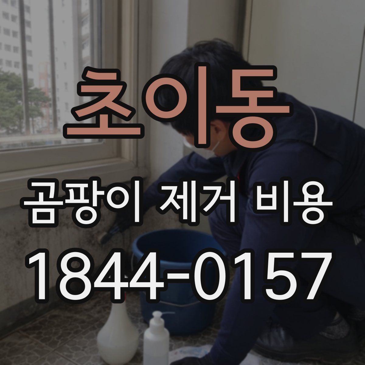 초이동 곰팡이 제거 비용