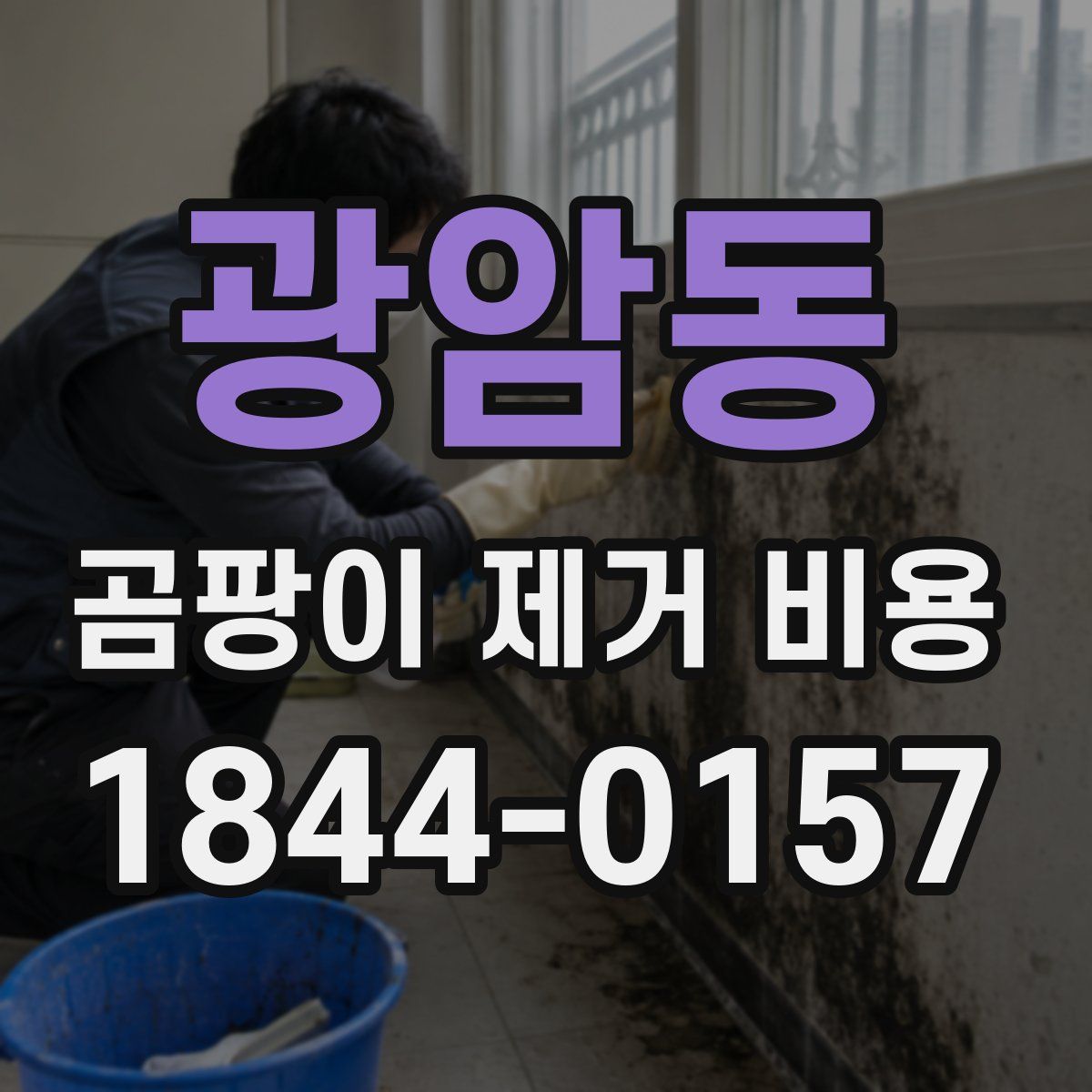 광암동 곰팡이 제거 비용