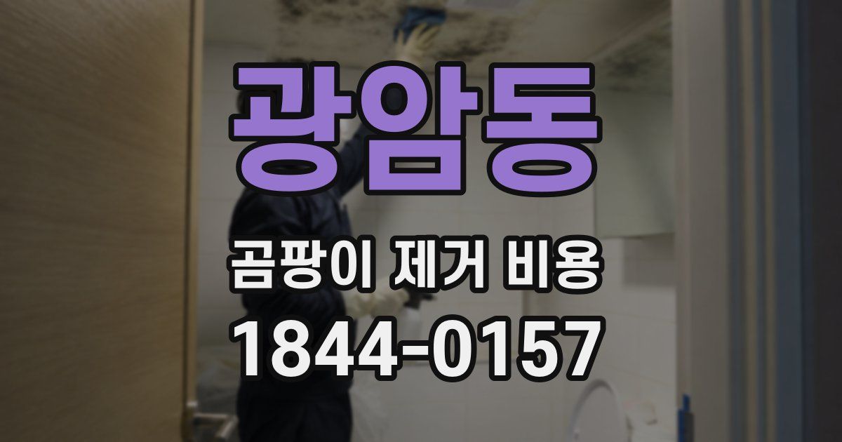 광암동 곰팡이 제거 비용