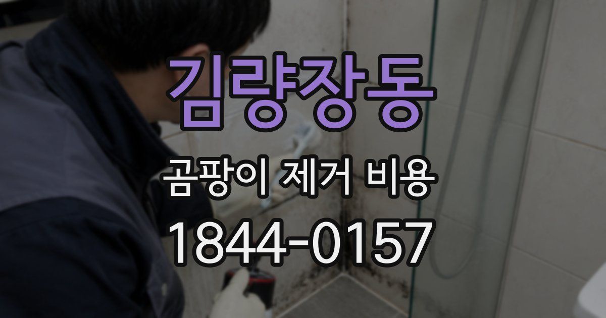 김량장동 곰팡이 제거 비용