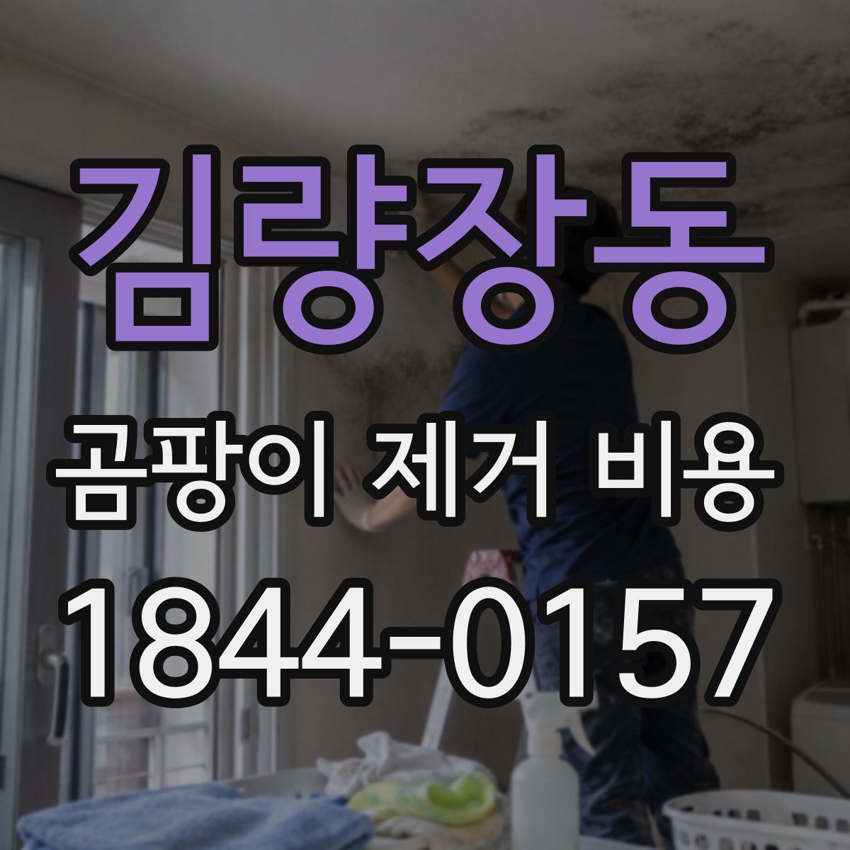 김량장동 곰팡이 제거 비용
