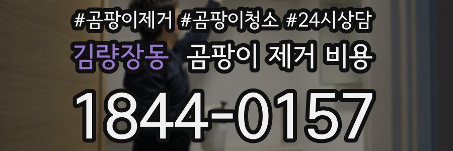 김량장동 곰팡이 제거 비용