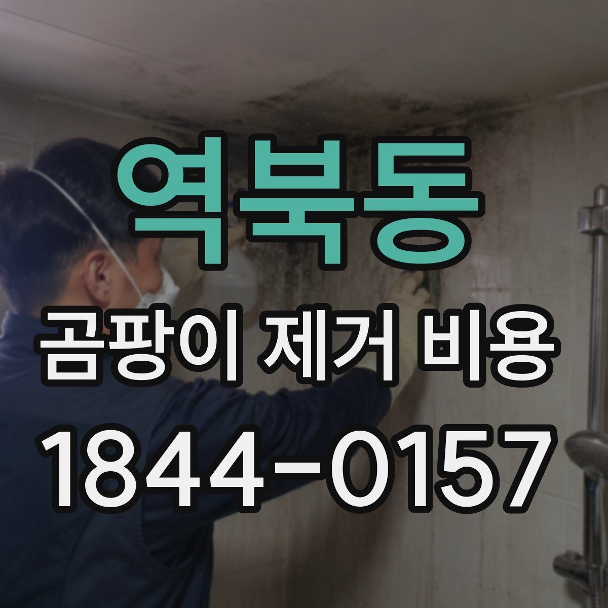 역북동 곰팡이 제거 비용 곰팡이 재발 가능성을 줄이는 점검 포인트