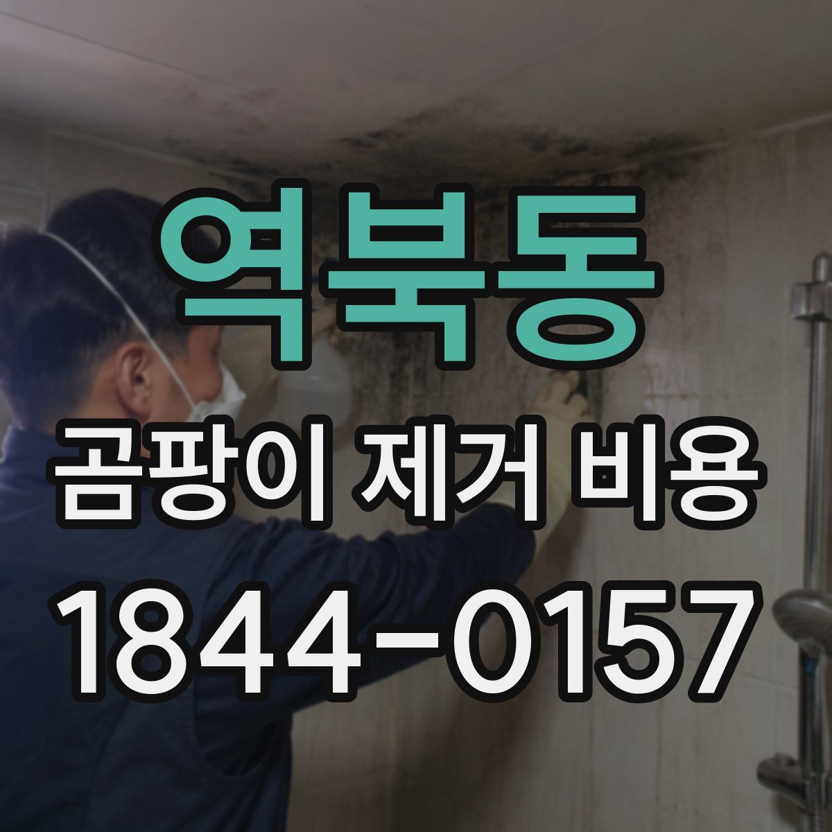 역북동 곰팡이 제거 비용
