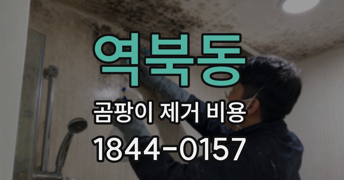 역북동 곰팡이 제거 비용