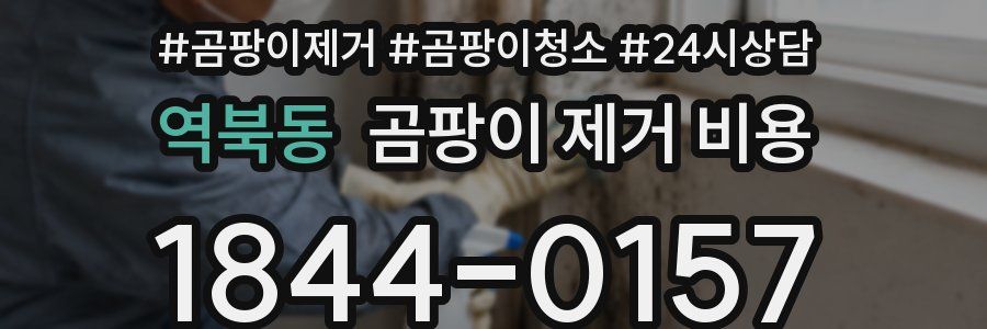 역북동 곰팡이 제거 비용