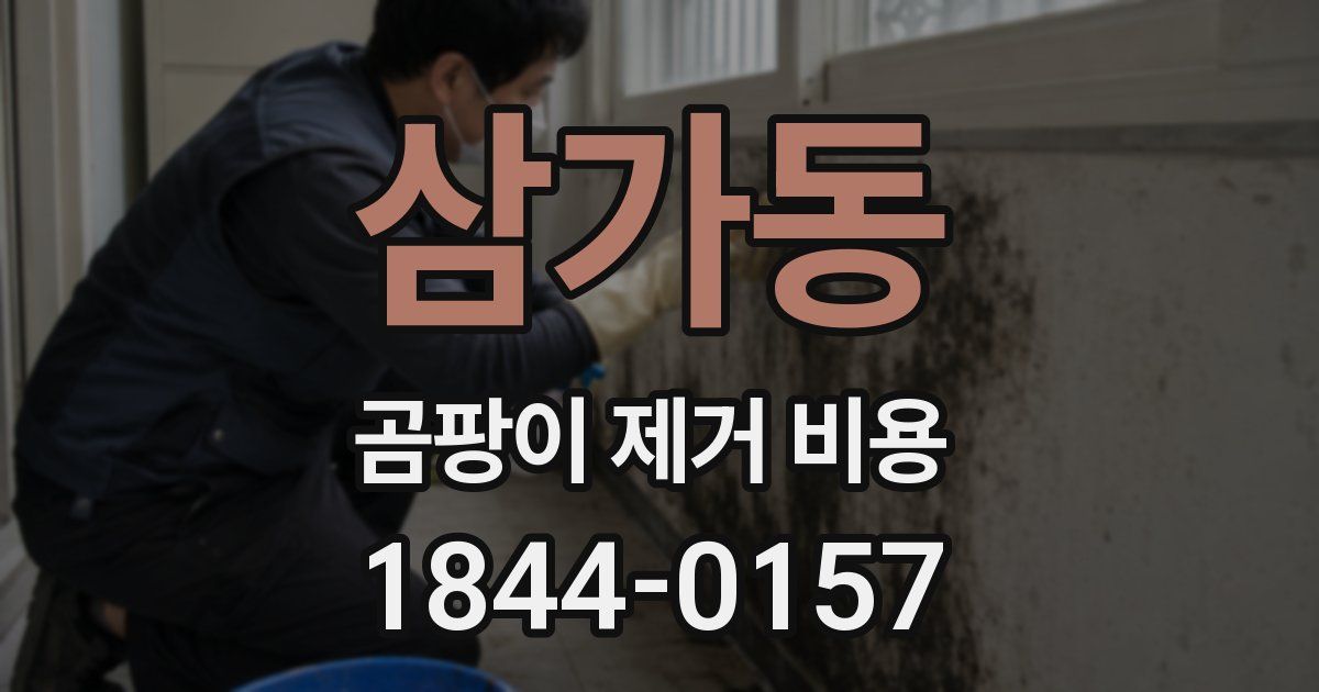 삼가동 곰팡이 제거 비용
