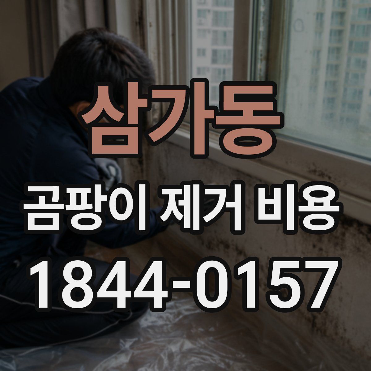 삼가동 곰팡이 제거 비용