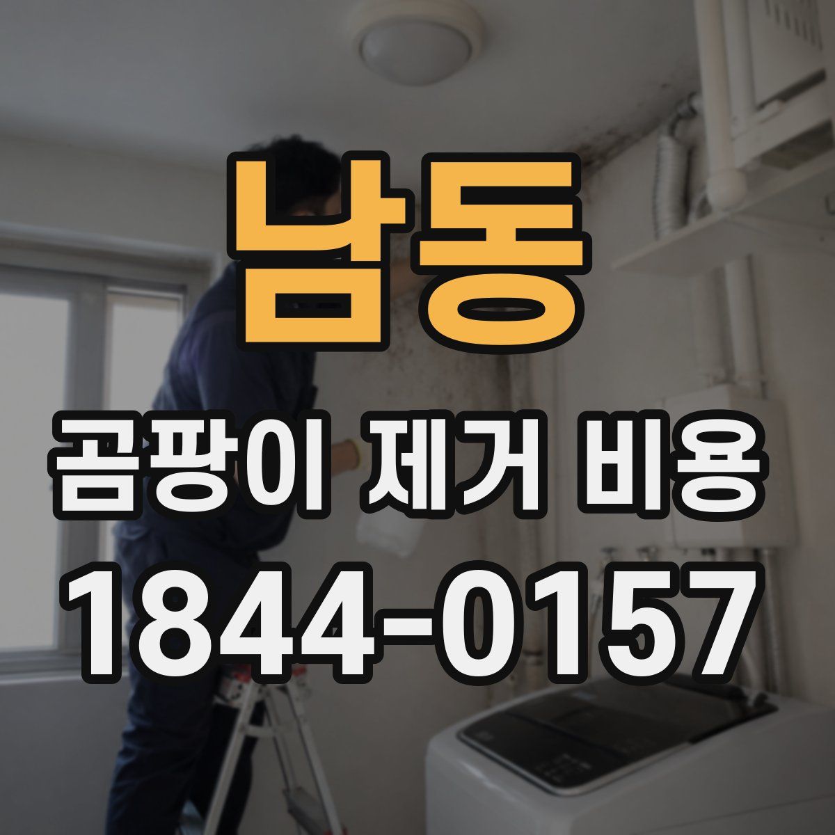 남동 곰팡이 제거 비용