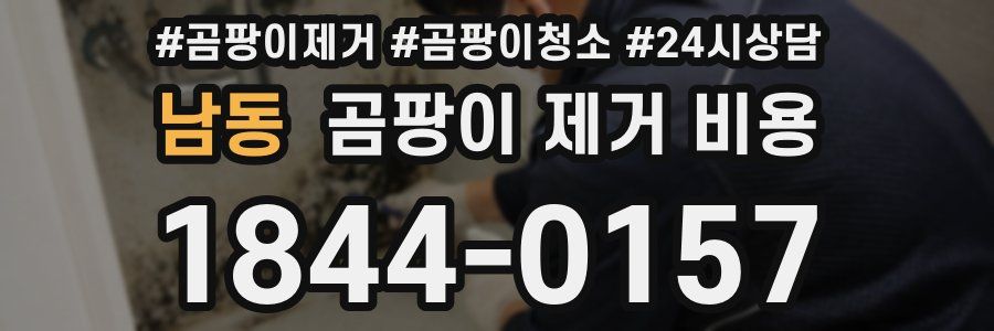 남동 곰팡이 제거 비용