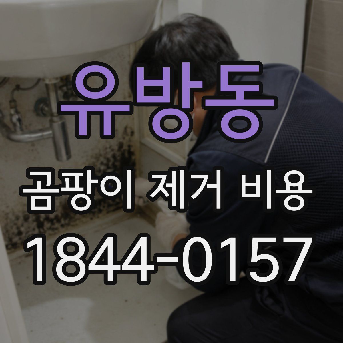 유방동 곰팡이 제거 비용