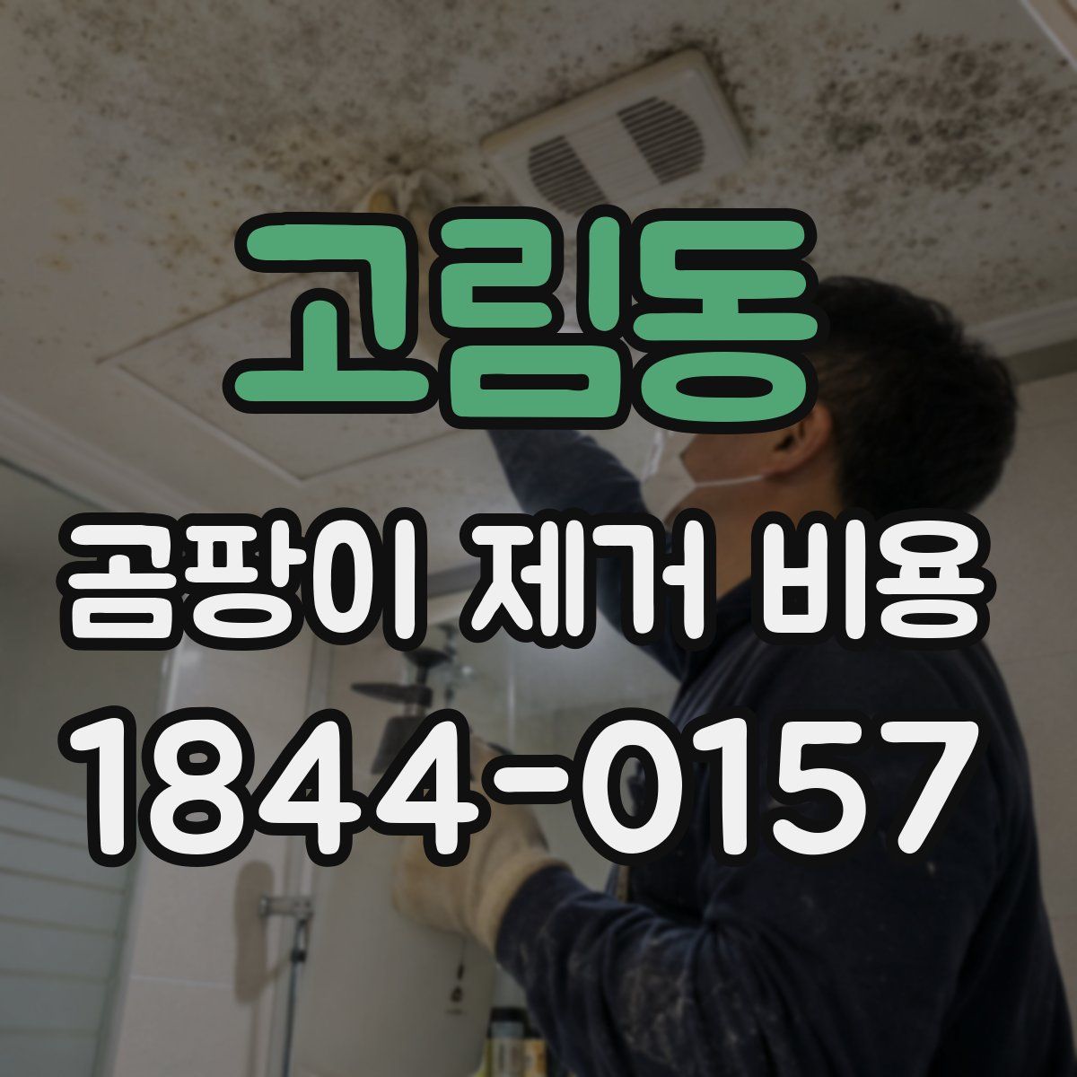 고림동 곰팡이 제거 비용