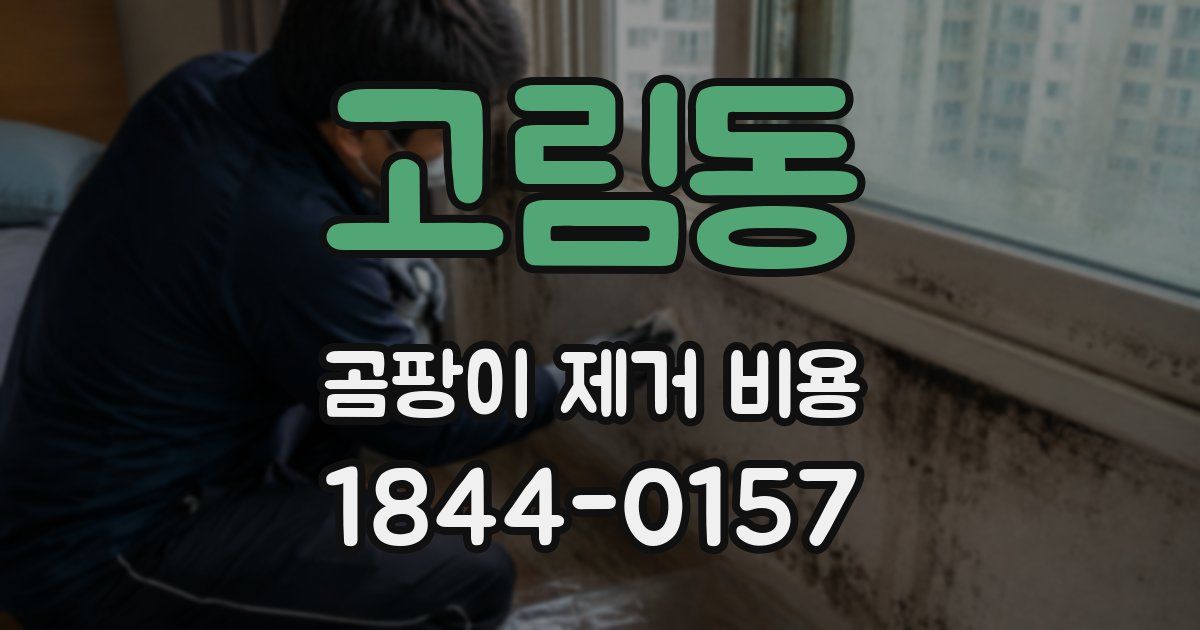 고림동 곰팡이 제거 비용
