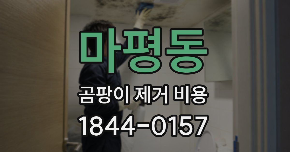 마평동 곰팡이 제거 비용