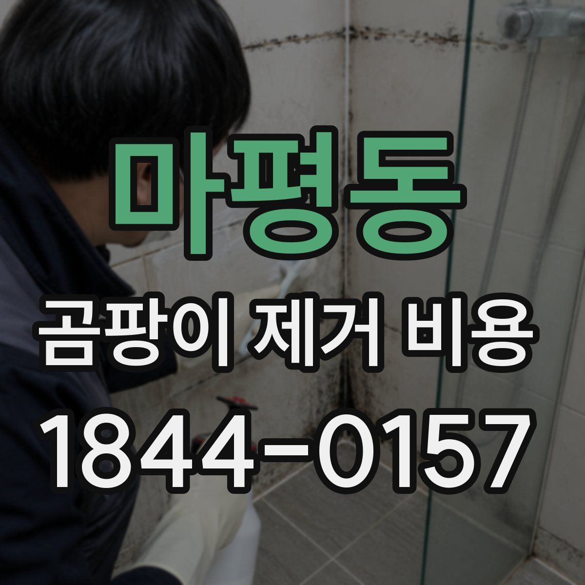 마평동 곰팡이 제거 비용