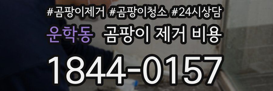 운학동 곰팡이 제거 비용