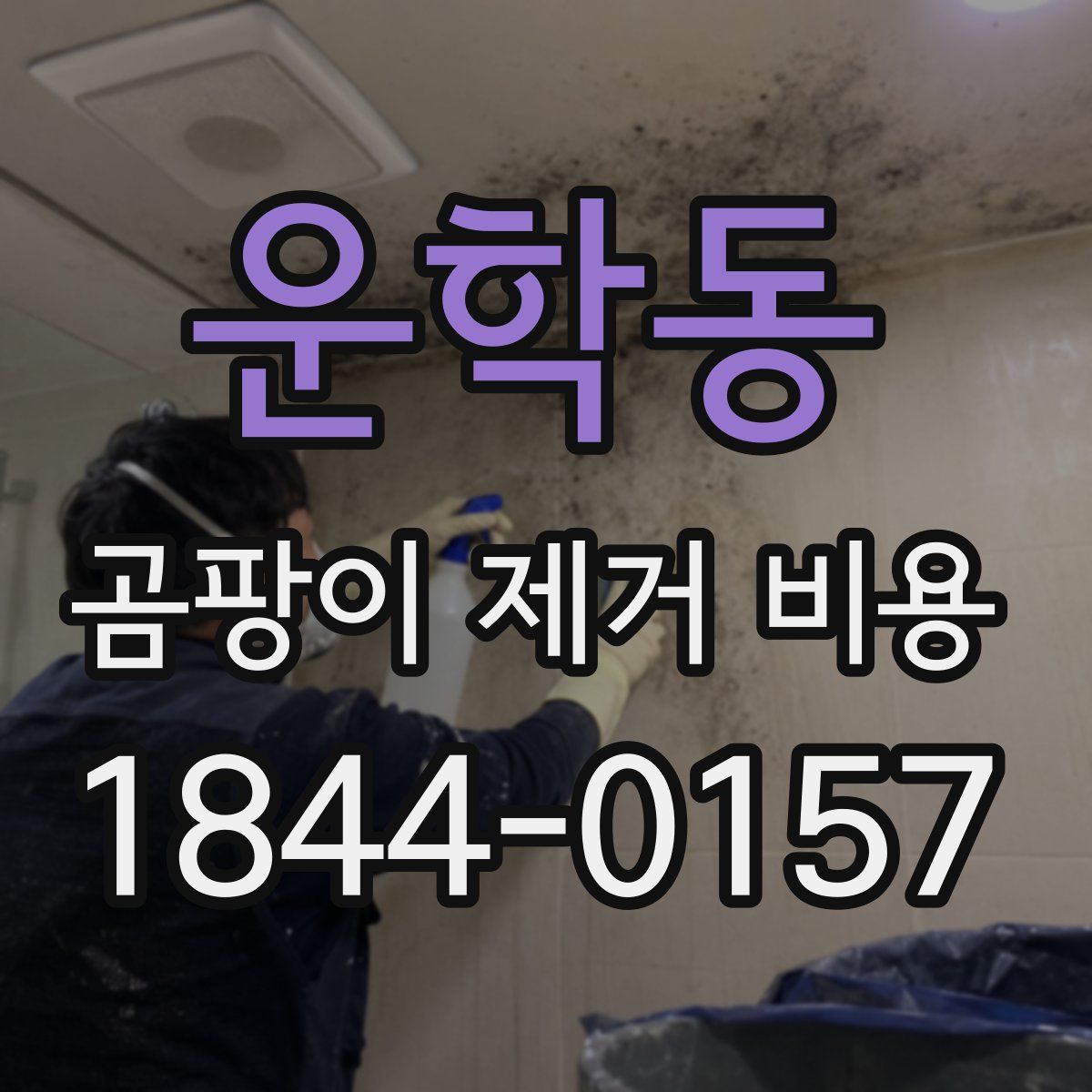 운학동 곰팡이 제거 비용