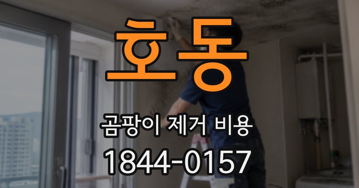 호동 곰팡이 제거 비용