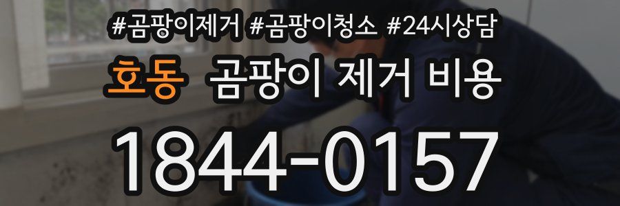 호동 곰팡이 제거 비용