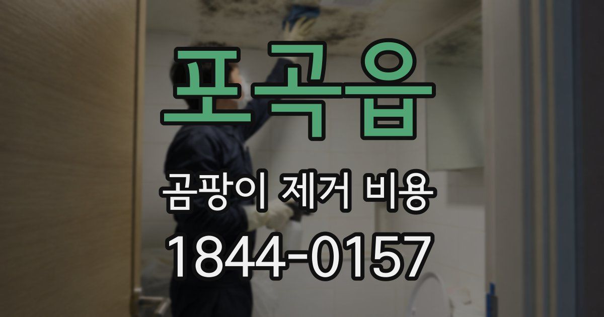 포곡읍 곰팡이 제거 비용