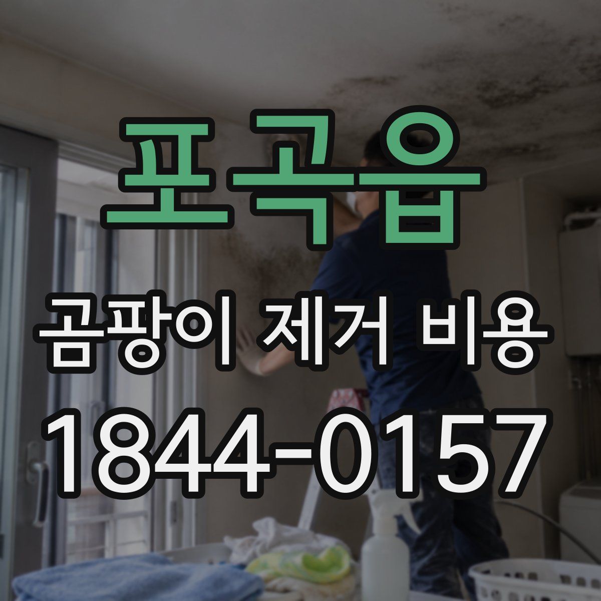 포곡읍 곰팡이 제거 비용